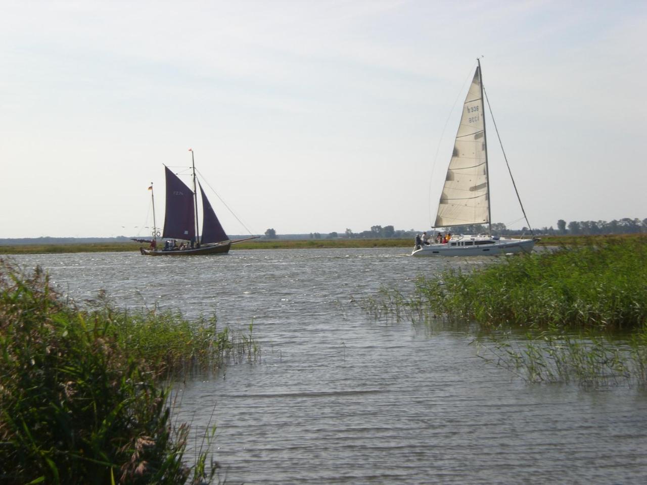 Achtern - Diek - Am Strand Цингст Экстерьер фото
