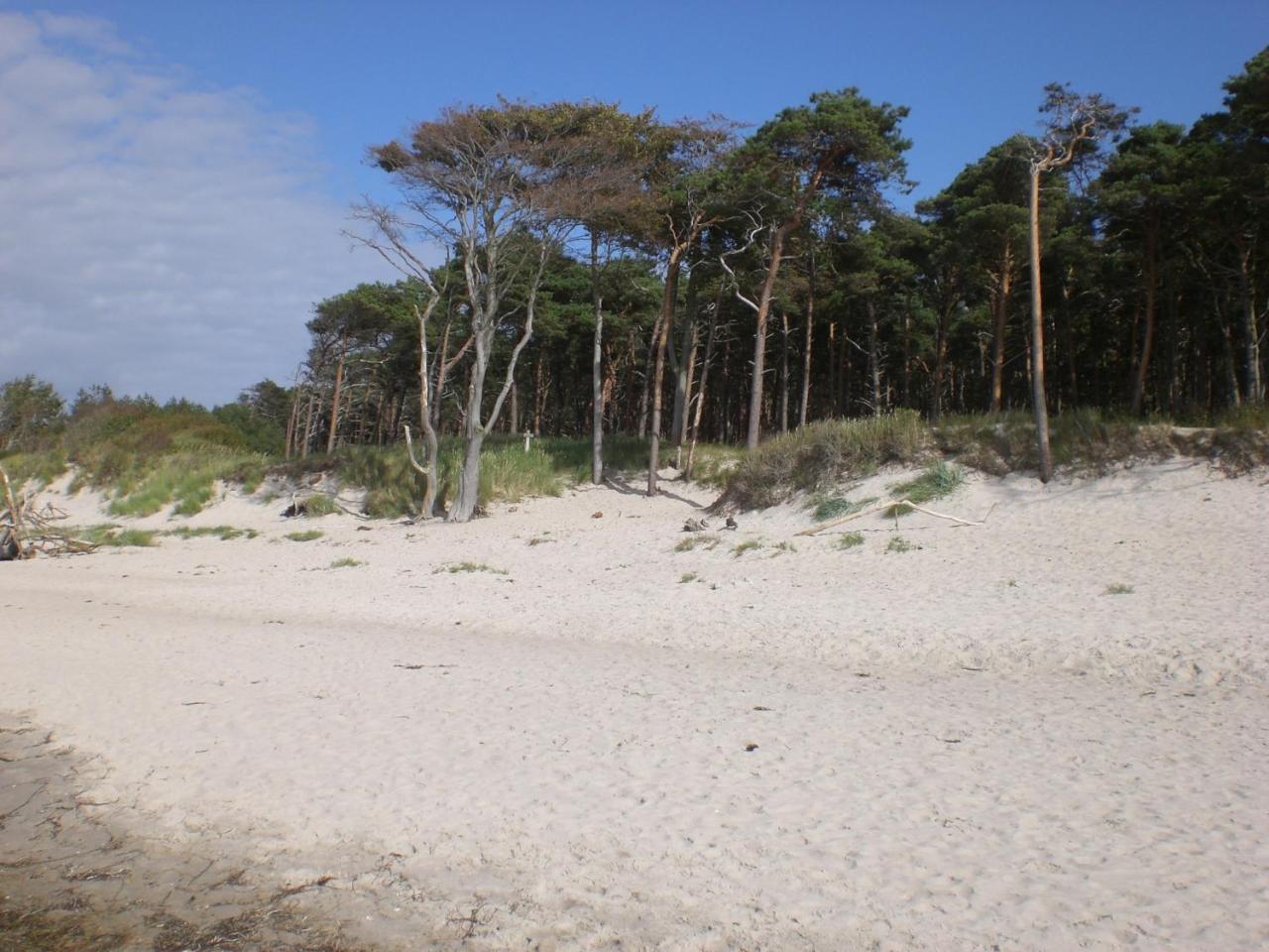 Achtern - Diek - Am Strand Цингст Экстерьер фото