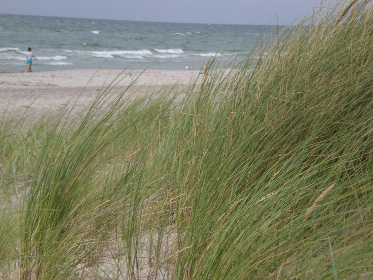 Achtern - Diek - Am Strand Цингст Экстерьер фото