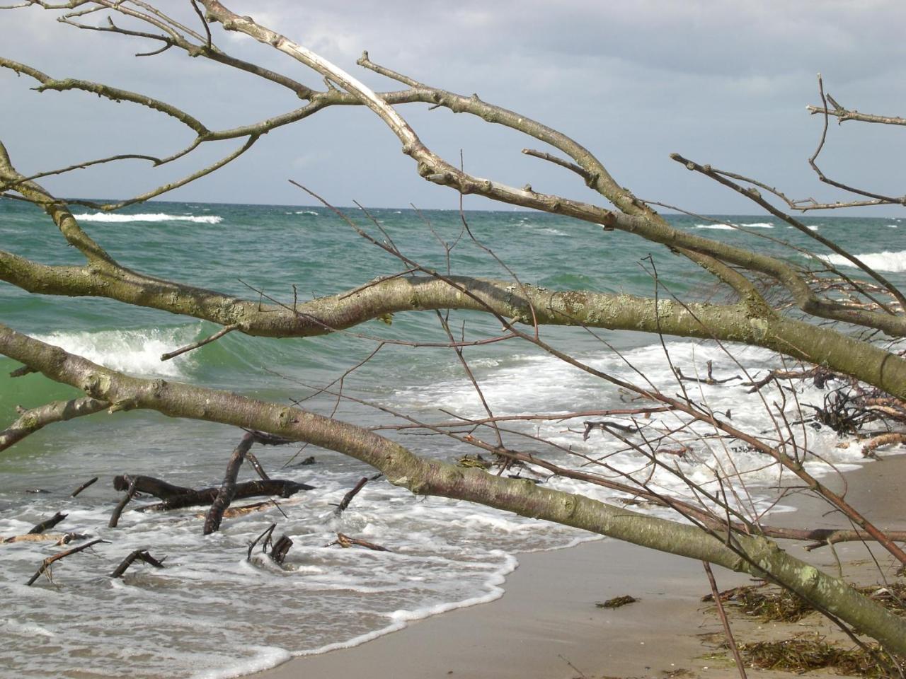 Achtern - Diek - Am Strand Цингст Экстерьер фото