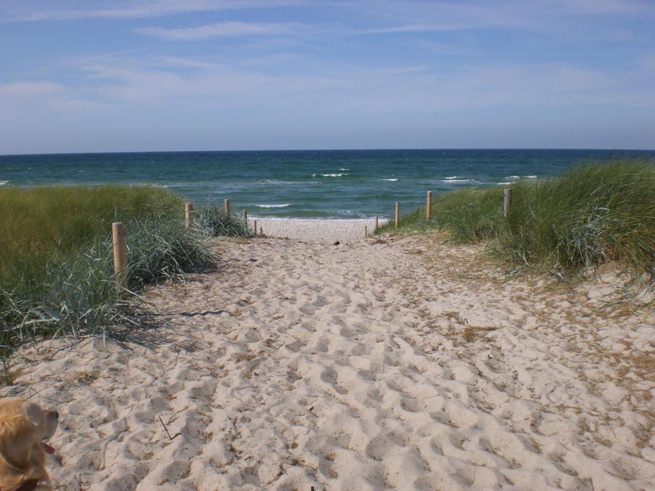 Achtern - Diek - Am Strand Цингст Экстерьер фото